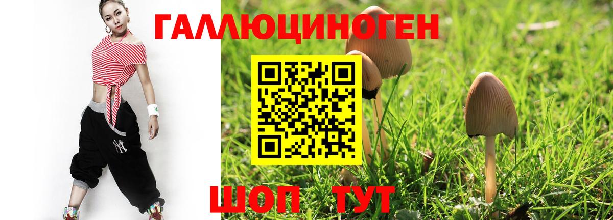 Галлюциногенные грибы Psilocybe  Вход с VPN  Кимры 