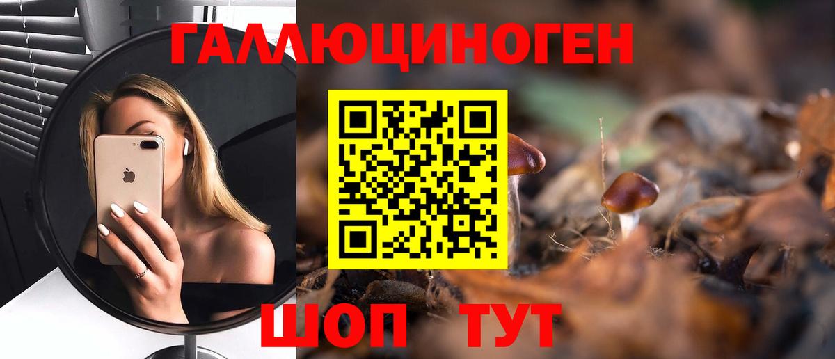 Псилоцибиновые грибы MAGIC MUSHROOMS Кимры